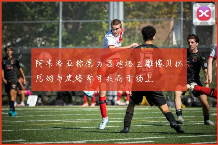阿韦洛亚称愿为吕迪格立雕像贝林厄姆与皮塔奇可共存于场上